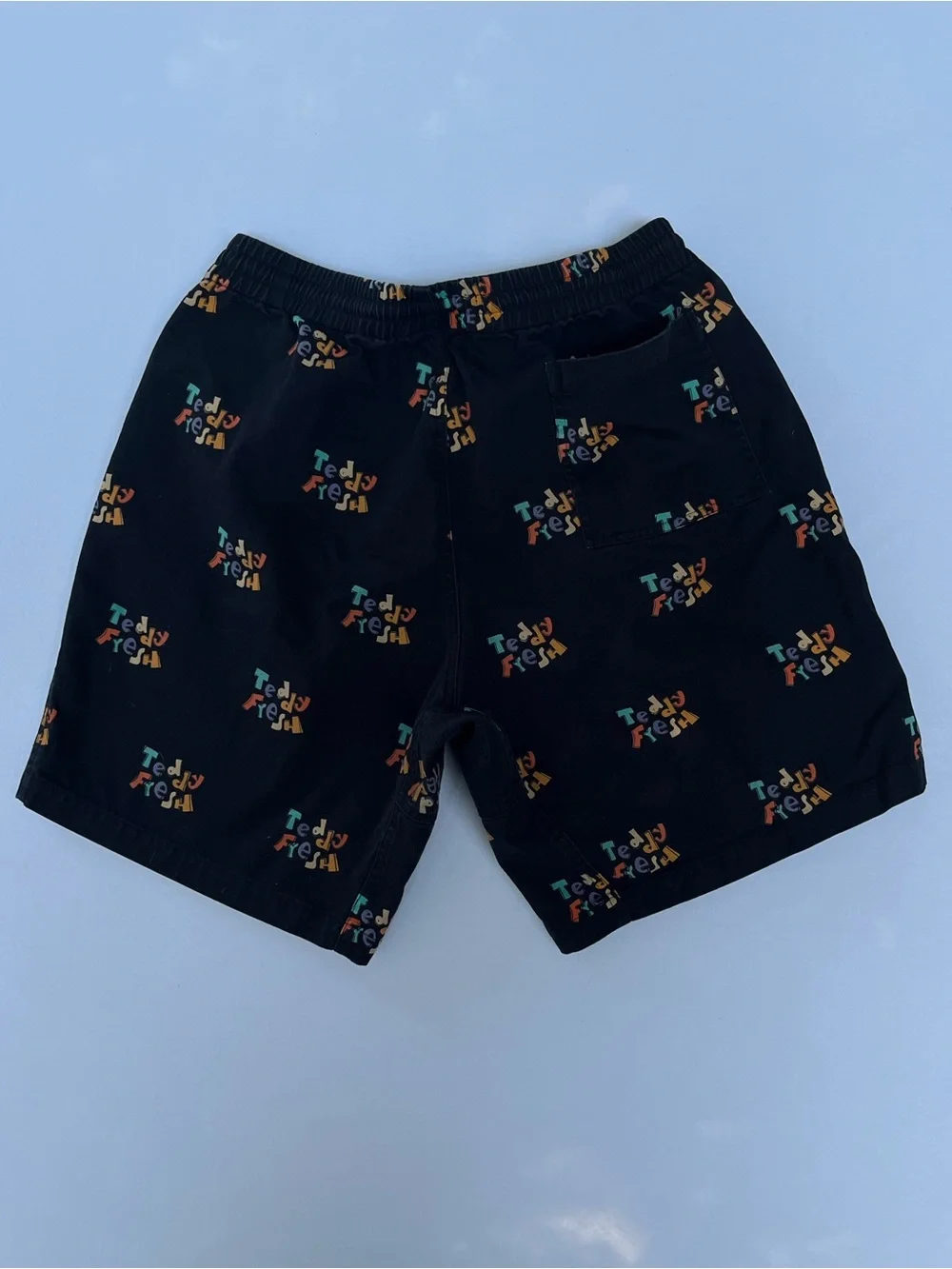 Teddy Fresh Men Retro Logo Black Camp Shorts Pockets Elastic Waist Size M Cotton